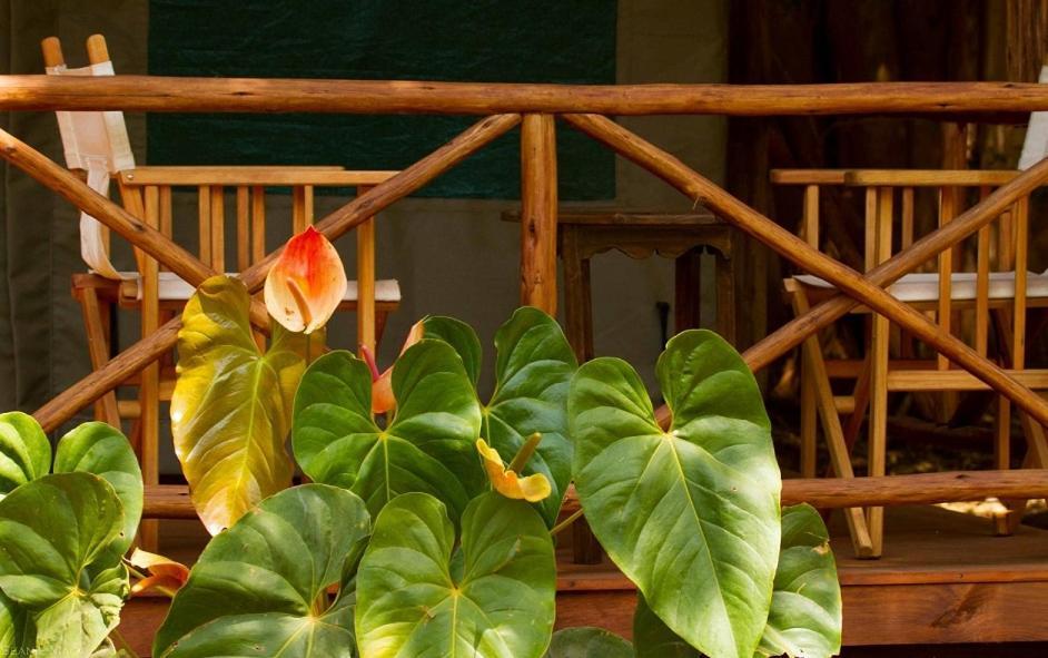 Simbamwenni Lodge And Camping Morogoro エクステリア 写真